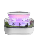 وایت نویز طرح جنگل